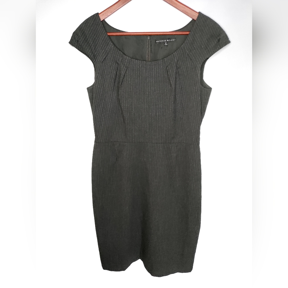 Antonio Melani Pin Stripe Dress 8